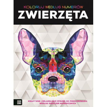 KOLORUJ WEDŁUG NUMERÓW. ZWIERZĘTA
 NOWE