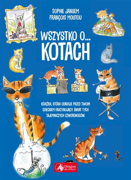 WSZYSTKO O KOTACH