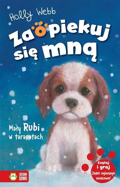 ZSM NW. MAŁY RUBI W TARAPATACH TOM 24
