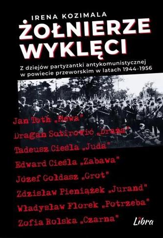 Żołnierze Wyklęci. Z dziejów partyzantki antykomun