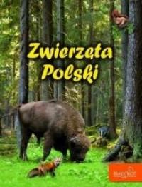 ZWIERZĘTA POLSKI-BIALY KOT