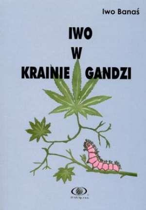 Iwo w krainie gandzi