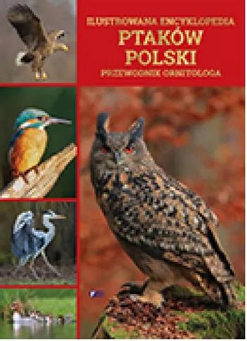 Ilustrowana encyklopedia ptaków Polski. Przewodnik