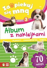 ZSM ALBUM Z NAKLEJKAMI 3