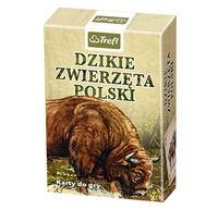 DZIKIE ZWIERZĘTA POLSKI