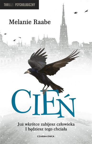 CIEŃ