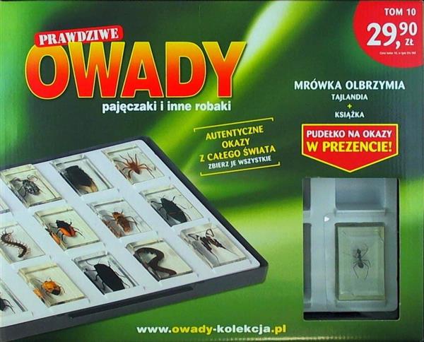 Prawdziwe Owady Pajęczaki i Inne Robaki Nr 10
