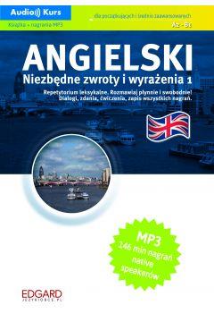 ANGIELSKI. NIEZBĘDNE ZWROTY I WYRAŻENIA. KSIĄŻKA +