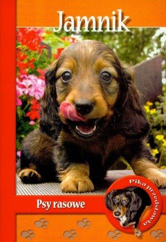 Jamnik. Psy rasowe