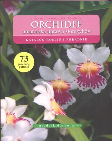 Orchidee amatorska uprawa storczyków
