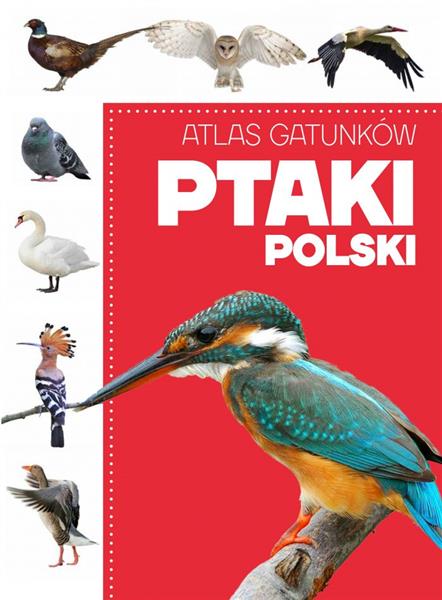 ATLAS GATUNKÓW. PTAKI POLSKI
