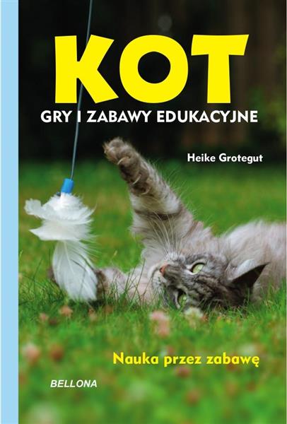 KOT GRY I ZABAWY EDUKACYJNE
