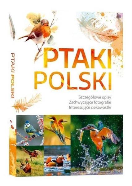 PTAKI POLSKI