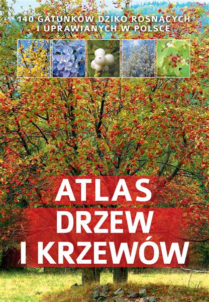 ATLAS DRZEW I KRZEWÓW