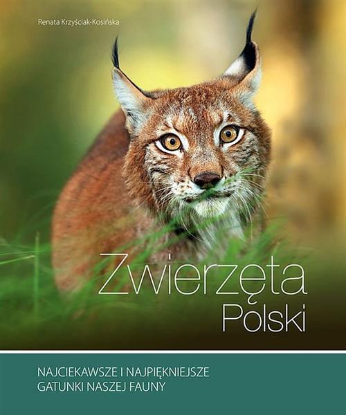 ZWIERZĘTA POLSKI