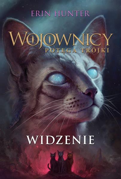 WOJOWNICY. POTĘGA TRÓJKI. WIDZENIE