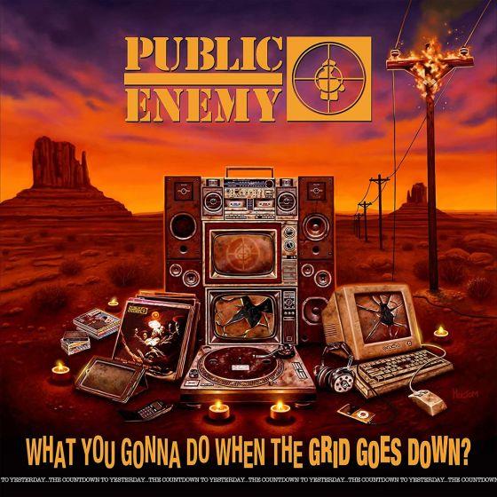 WHAT YOU GONNA DO WHEN THE GIRD GOES DOWN? CD