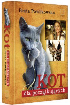 KOT DLA POCZĄTKUJĄCYCH